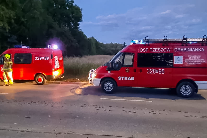 Pożar budynku gospodarczego przy ul. Uroczej w Rzeszowie